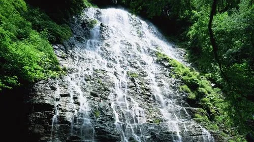 科技高端高标准